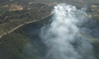 Bodrum ve Didim'de ormanlık alanda yangın