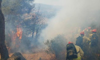 Aydın'da orman yangını! 2,8 hektar kızılçam yandı