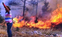 Muğla'da bir orman yangını daha çıktı