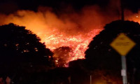 California'da yangınlar sürüyor: 200 bin hektar ormanlık alan kül oldu