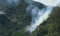 İstanbul'da ormanlık alanda yangın çıktı