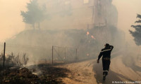 Cezayir'deki yangınlarda 42 can kaybı