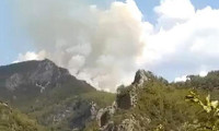 Antalya'nın Alanya ilçesinde orman yangını