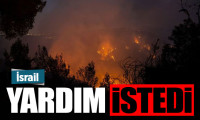 Batı Kudüs'te orman yangını: İsrail yardım istedi 