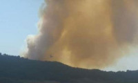 Adana'da orman yangını! 