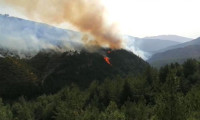 Karabük'te tekrar orman yangını