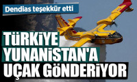 Dendias teşekkür etti: Türkiye Yunanistan'a uçak gönderiyor