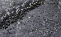 Peru sahilleri petrol sızıntısı nedeniyle siyaha büründü
