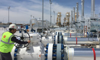 BOTAŞ'tan doğalgaz açıklaması: 10 gün kesilecek