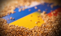 Rusya'dan tehdit: Tahıl koridoru anlaşmasından çekiliriz!