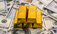 Rusya'nın altın ve döviz rezervleri arttı