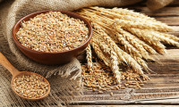Buğday ve mısır fiyatları yükselişini sürdürüyor