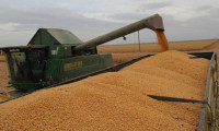 TMO 500 bin ton mısır alımı için ithalat ihaleleri açtı