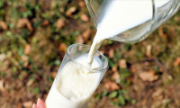 Süt ürünleri ihracat artışını sürdürüyor