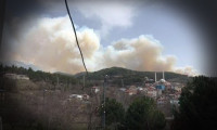 Bursa'da ormanlık alanda yangın!