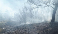 Milas’ta iki ayrı noktada orman yangını çıktı