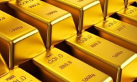 Türkiye 25 ton altın aldı