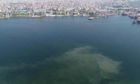 İstanbul sahillerinde müsilaj geri mi dönüyor?