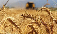 Ukrayna Tarım Bakanından küresel fiyat artışları uyarısı