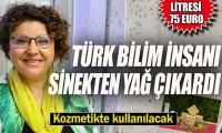 Türk bilim insanı sinekten yağ çıkardı
