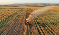 Tarım-ÜFE yıllık %154,97 arttı