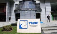 TMSF, Aynes'i satışa çıkardı