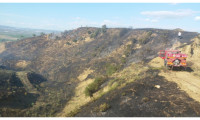 Manisa'da ormanlık alanda başlayan yangına anında müdahale edildi