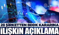 BDDK'nın kısıtlama kararına ilişkin 28 şirketten açıklama