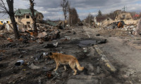 Rus bombardımanı Severodonetsk ve Lysychansk'ı ölü şehirlere dönüştürdü