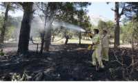 Adana'da kundaklama şüphesi olan orman yangınlarıyla ilgili bir tutuklama