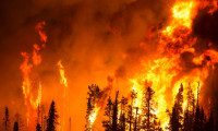 İçişleri Bakanlığı'ndan orman yangınlarına karşı genelge!