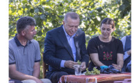 Cumhurbaşkanı Erdoğan fındık bahçesinde vatandaşla hasbihal etti