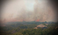 Alevler kısa sürede yayıldı: Çanakkale'de orman yangını!