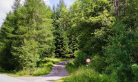 İki ilde ormanlık alanlara giriş yasaklandı