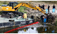  Oder Nehri'nden 100 ton ölü balık çıkarıldı