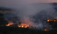 Bulgaristan'daki yangının alevleri Edirne'den görülüyor