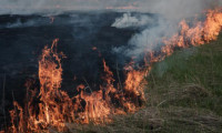 Rusya'da orman yangını 19 bin 280 hektarlık alan kül oldu