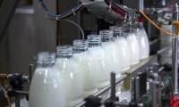 Fransa'da süt krizi kapıda