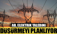 AB, elektrik talebini düşürmeyi planlıyor