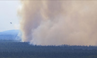 Almanya’da orman yangını 