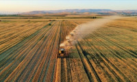 Bulgaristan’da tarım sektörü çöküşün eşiğinde