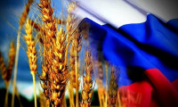 Rusya, tahıl üretiminde büyük başarıya ulaştı!