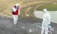 Kimyasal atık baraja karıştı: Bakanlık inceleme başlattı!