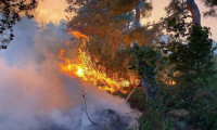 Çanakkale'de korkutan orman yangını: Köyler boşaltılıyor
