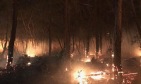 Çanakkale'de ormanlık alanda yangın!