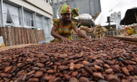 Kakao fiyatları 46 yılın zirvesi