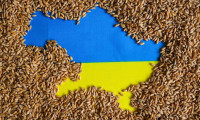 Ukrayna, Afrika'da tahıl merkezi kuracak