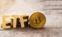 Bitcoin ETF'lerine rekor sermaye girişi