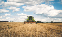 Tarım ÜFE ocakta aylık yüzde 3.85 arttı