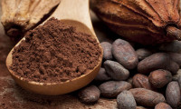 Kakao fiyatları rekor seviyede